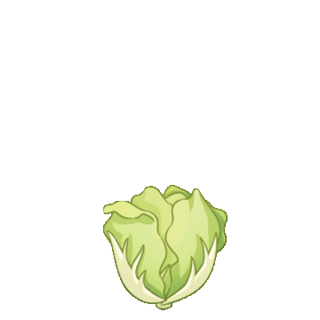 白菜欢迎