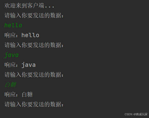 服务端运行效果