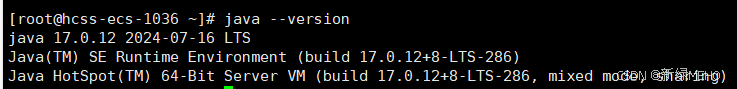 Java开发工具包（JDK）获取与安装指南