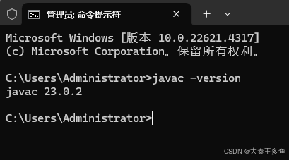 编译器验证截图