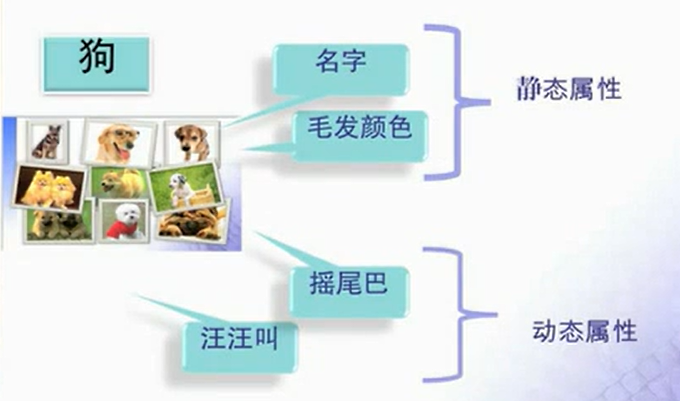 宠物犬类示例1