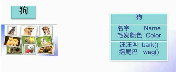宠物犬类示例2