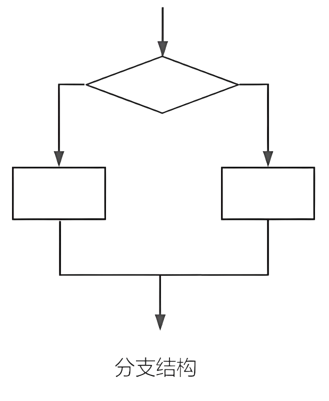 分支结构图解